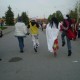 One Piece / ワンピース /  (characters) / Cosplay / maxiol_one_piece_Cosplay_157945_.jpg