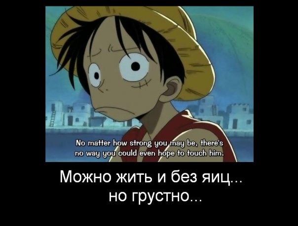 One Piece / ワンピース /  (characters) / Demotivators / maxiol_one_piece_demotivators_156965_.jpg