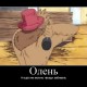 One Piece / ワンピース /  (characters) / Demotivators / maxiol_one_piece_demotivators_156999_.jpg