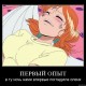One Piece / ワンピース /  (characters) / Demotivators / maxiol_one_piece_demotivators_157115_.jpg