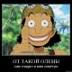 One Piece / ワンピース /  (characters) / Demotivators / maxiol_one_piece_demotivators_157251_.jpg
