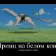 One Piece / ワンピース /  (characters) / Demotivators / maxiol_one_piece_demotivators_157279_.jpg