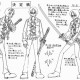 One Piece / ワンピース /  (characters) / Marine Patrol / maxiol_one_piece_marine_patrol_158640_.jpg