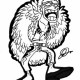 One Piece / ワンピース /  (characters) / Shichibukai / maxiol_one_piece_Shichibukai_160977_.jpg