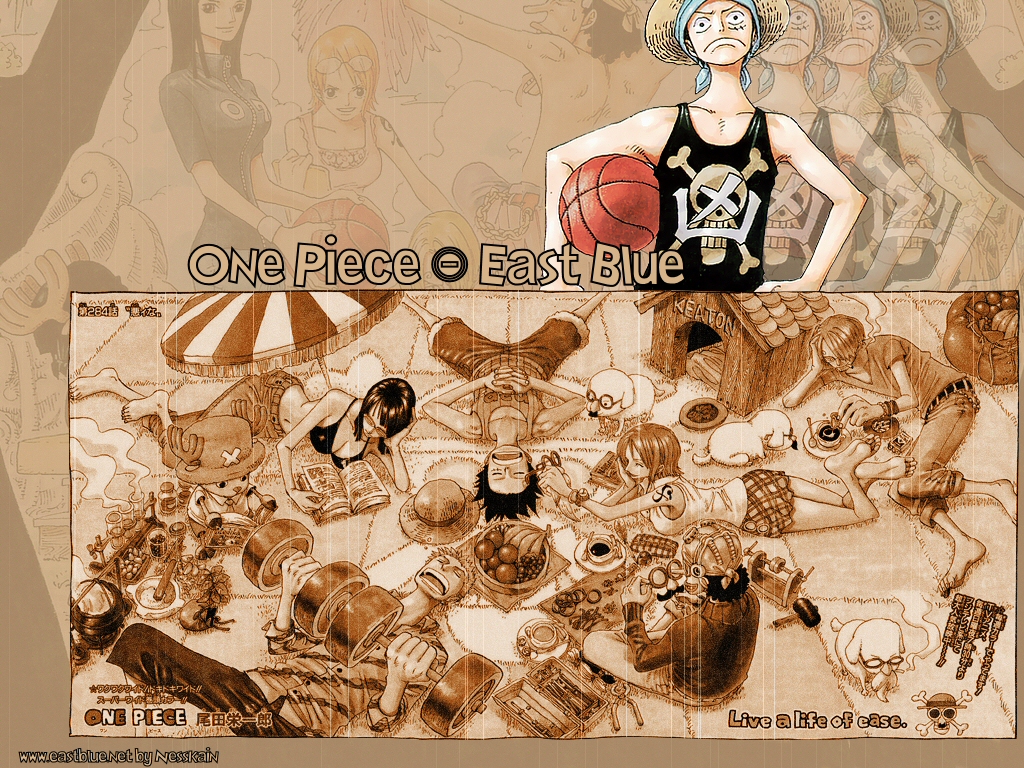 One Piece / ワンピース /  / maxiol_one_piece_wallpaper_95525_.jpg