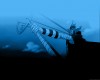 One Piece / ワンピース /  2 / maxiol_One_Piece_wallpaper_2_192779_.png