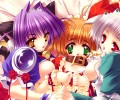 Puni Puni Handmaid /  / maxiol_puni_puni_handmaid_135594_.jpg