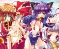 Puni Puni Handmaid /  / maxiol_puni_puni_handmaid_135603_.jpg
