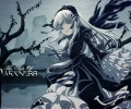 Rozen Maiden /  2 / maxiol_Rozen_Maiden_wallpaper_2_101953_.jpg