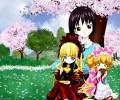 Rozen Maiden /  2 / maxiol_Rozen_Maiden_wallpaper_2_101971_.jpg