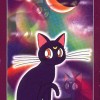 Sailor Moon /   -   / maxiol_sailormoon_tarot_15333_.jpg