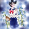 Sailor Moon /    / Ami Mizuno / / / maxiol_ami_24706_.jpg