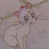 Sailor Moon /    /   / maxiol_artemis_20028_.jpg