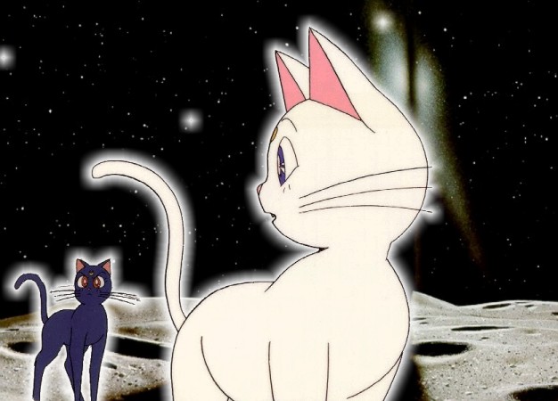Sailor Moon /    /   / maxiol_artemis_20030_.jpg
