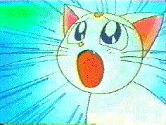 Sailor Moon /    /   / maxiol_artemis_20037_.jpg