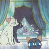 Sailor Moon /    /  / maxiol_cats_19224_.jpg