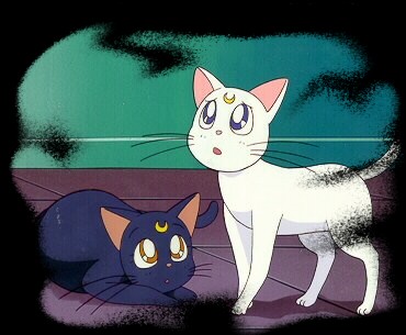 Sailor Moon /    /  / maxiol_cats_19225_.jpg