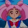 Sailor Moon /    /   / maxiol_chibi_24788_.jpg