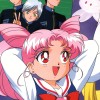Sailor Moon /    /   / maxiol_chibi_24794_.jpg