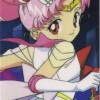Sailor Moon /    /   / maxiol_chibi_24919_.jpg