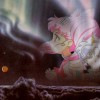 Sailor Moon /    /   / maxiol_chibi_25005_.jpg