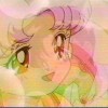 Sailor Moon /    /   / maxiol_chibi_25094_.jpg