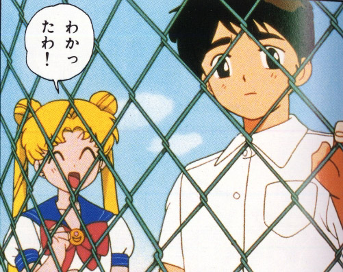 Sailor Moon /    /   / maxiol_group_25758_.jpg