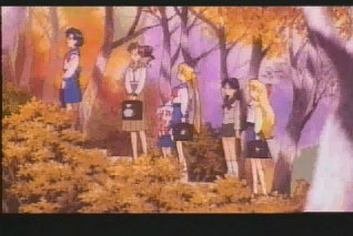 Sailor Moon /    /   / maxiol_group_26036_.jpg