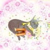 Sailor Moon /    /   / maxiol_luna_23407_.jpg