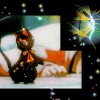 Sailor Moon /    /   / maxiol_luna_23424_.jpg