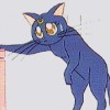 Sailor Moon /    /   / maxiol_luna_23470_.gif