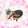 Sailor Moon /    /   / maxiol_luna_23471_.jpg