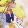 Sailor Moon /    /   / maxiol_minako_26616_.jpg