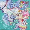 Sailor Moon /    /  / maxiol_pegasus_17195_.jpg