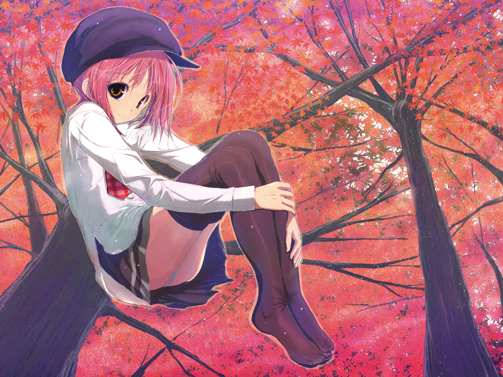 Sakura Musubi /  / maxiol_sakura_musubi_128200_.png