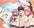 Sakura Musubi /  / maxiol_sakura_musubi_128226_.jpg