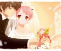 Sakura Musubi /  / maxiol_sakura_musubi_128227_.jpg