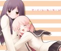 Sakura Musubi /  / maxiol_sakura_musubi_128229_.jpg
