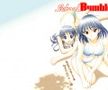 School Rumble ( ) /  / maxiol_SchoolRumble_119535_.jpg