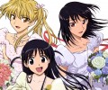 School Rumble ( ) /  / maxiol_SchoolRumble_119595_.jpg