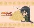 Shakugan no Shana / Shana the Raging Fire Eyed /    / 灼眼のシャナ /  / maxiol_shakugan_no_shana_wallpaper_115120_.jpg