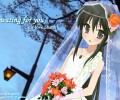 Shakugan no Shana / Shana the Raging Fire Eyed /    / 灼眼のシャナ /  2 / maxiol_Shakugan_Shana_wallpaper_2_193741_.jpg
