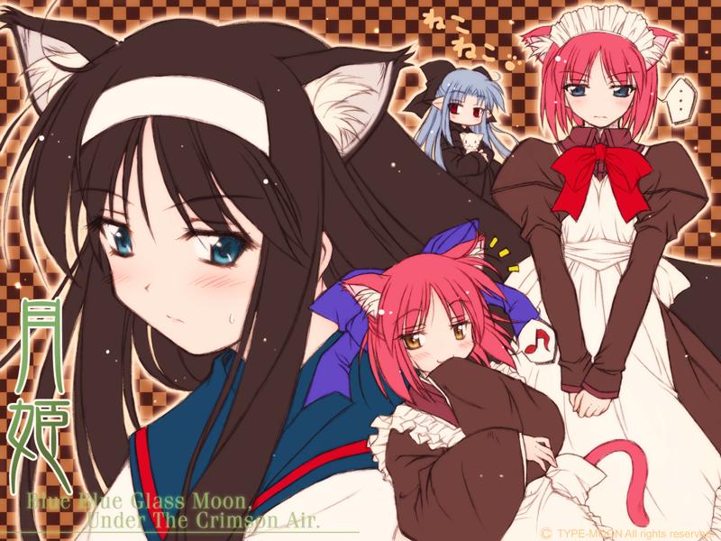 Shingetsutan Tsukihime/    /  / maxiol_shingetsutan_tsukihime_114740_.jpg