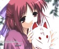 Shingetsutan Tsukihime/    /  / maxiol_shingetsutan_tsukihime_114756_.jpg