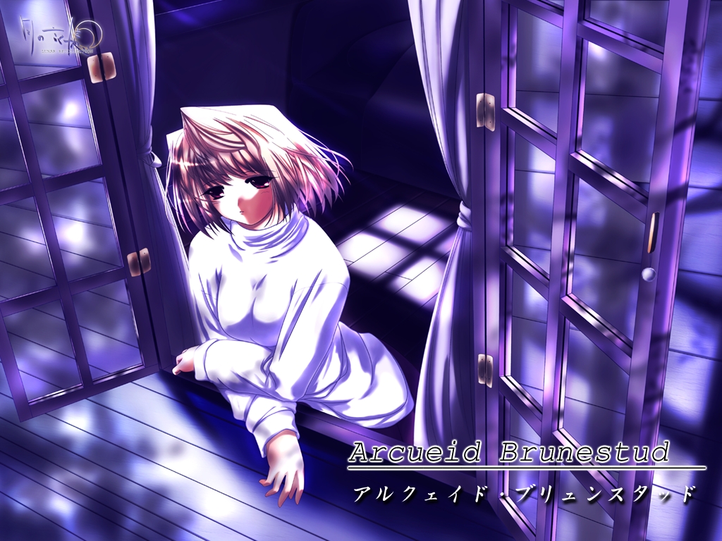 Shingetsutan Tsukihime/    /  / maxiol_shingetsutan_tsukihime_114763_.jpg
