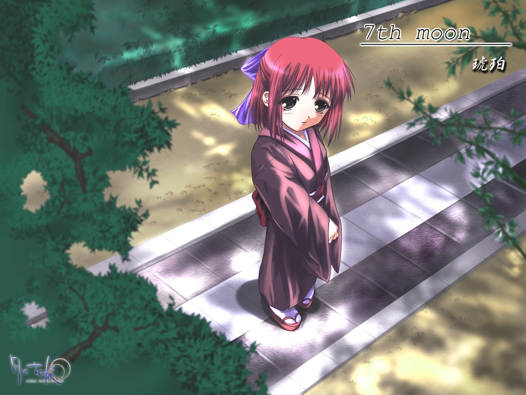 Shingetsutan Tsukihime/    /  / maxiol_shingetsutan_tsukihime_114792_.jpg