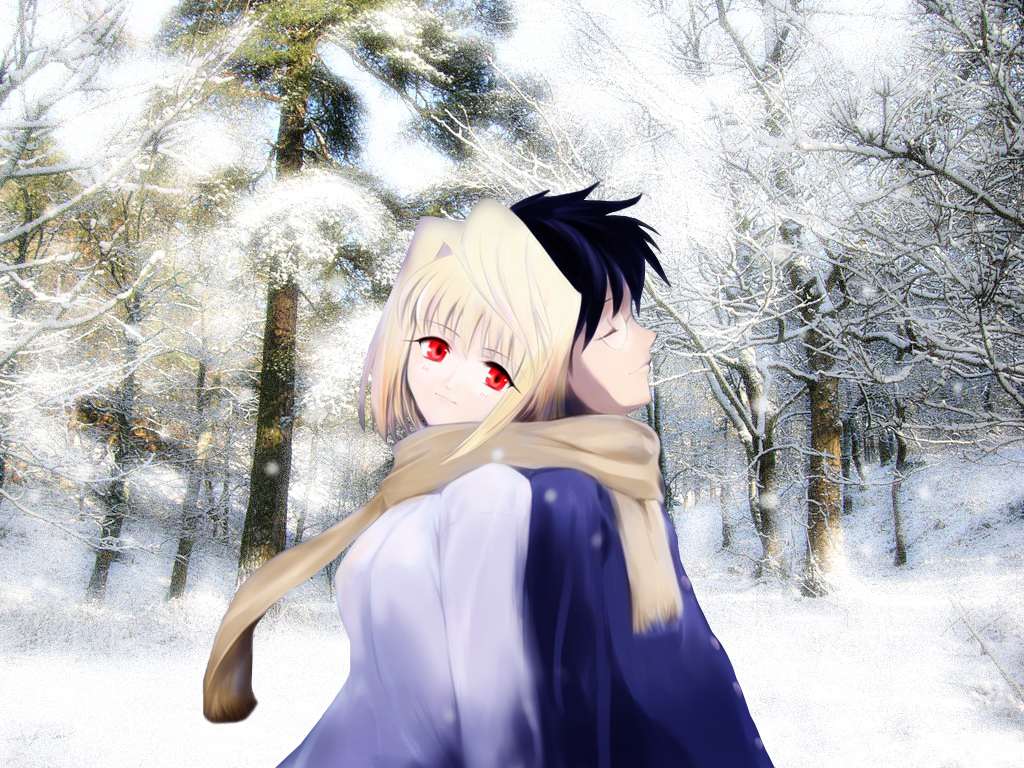 Shingetsutan Tsukihime/    /  / maxiol_shingetsutan_tsukihime_114862_.jpg