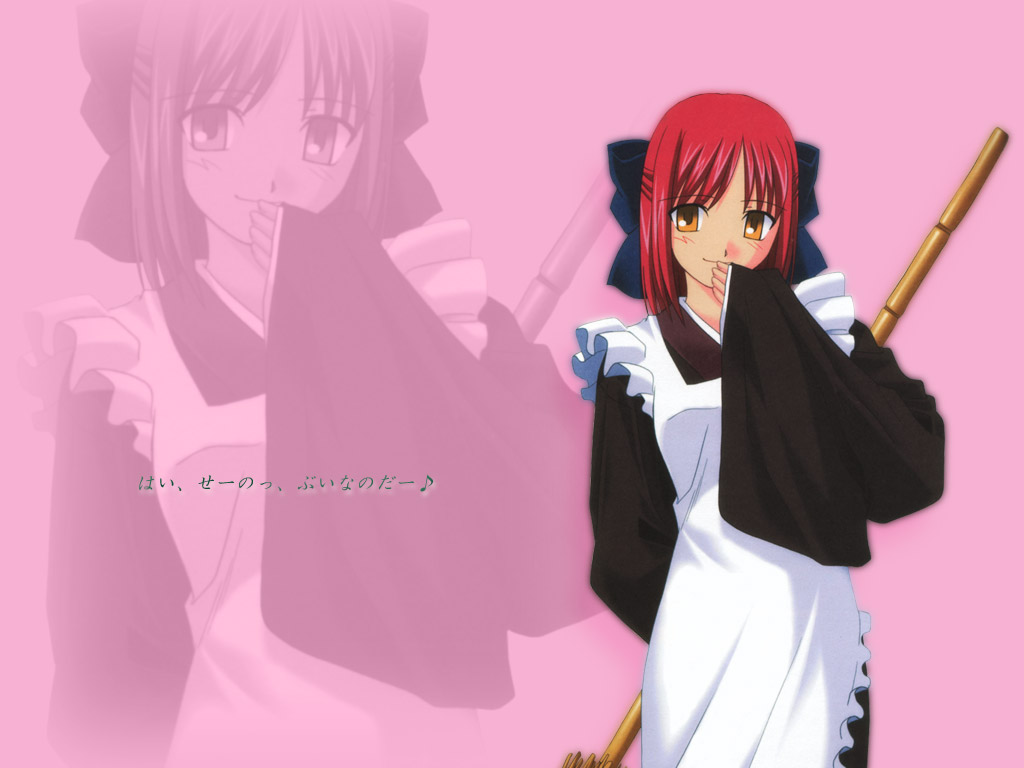 Shingetsutan Tsukihime/    /  / maxiol_shingetsutan_tsukihime_114926_.jpg