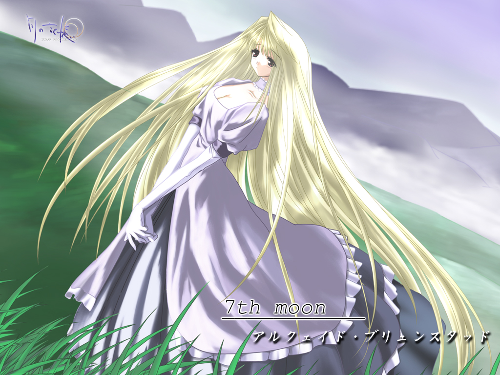 Shingetsutan Tsukihime/    /  / maxiol_shingetsutan_tsukihime_114954_.jpg