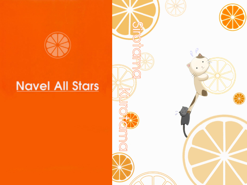 Shuffle / ! /  2 / maxiol_Shuffle_Wallpapers_170684_.jpg